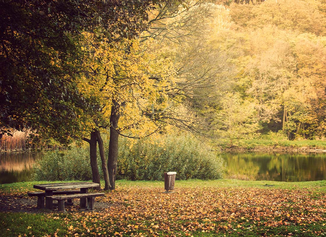 About Our Agency - Autumn Landscape of an Ohio Park with Bench on a Sunny Day